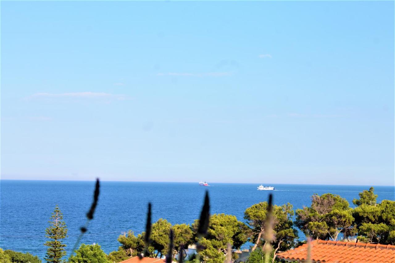 Sea View Apartment 15 Min From Athens Airport Néa Mákri Екстериор снимка