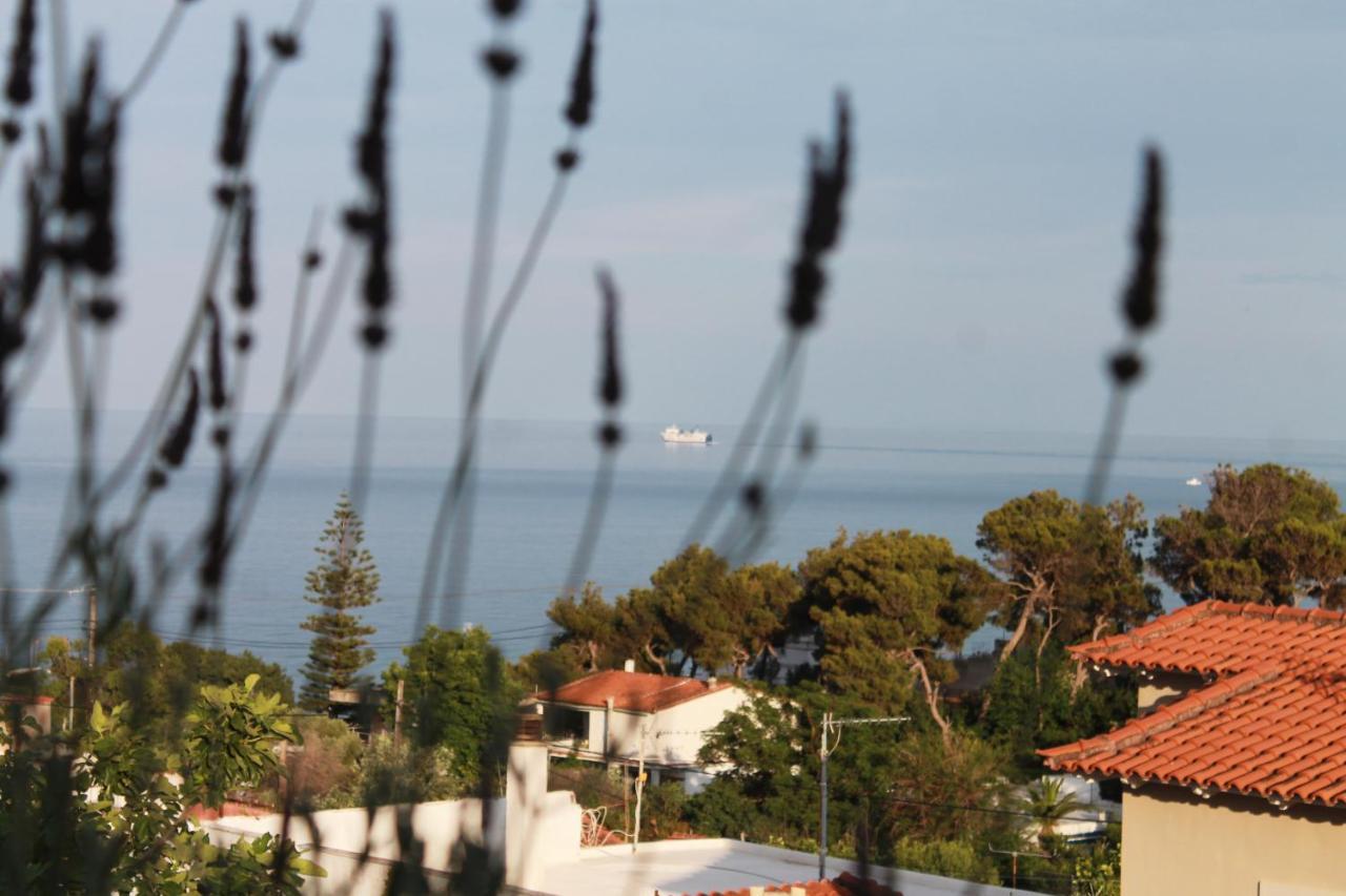 Sea View Apartment 15 Min From Athens Airport Néa Mákri Екстериор снимка